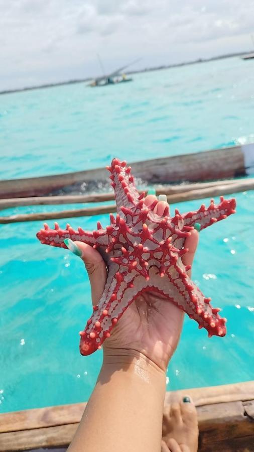 Pamoja Beach Stays Hotel In Jambiani ジャンビアニ エクステリア 写真