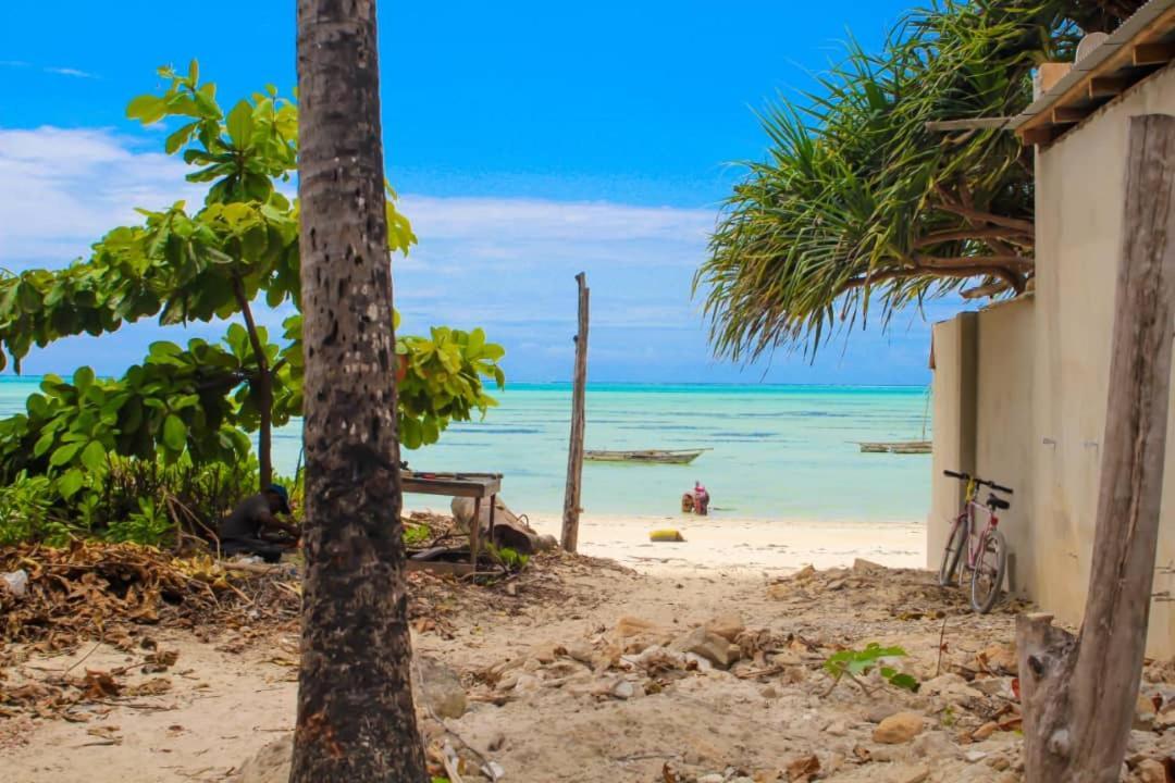 Pamoja Beach Stays Hotel In Jambiani ジャンビアニ エクステリア 写真