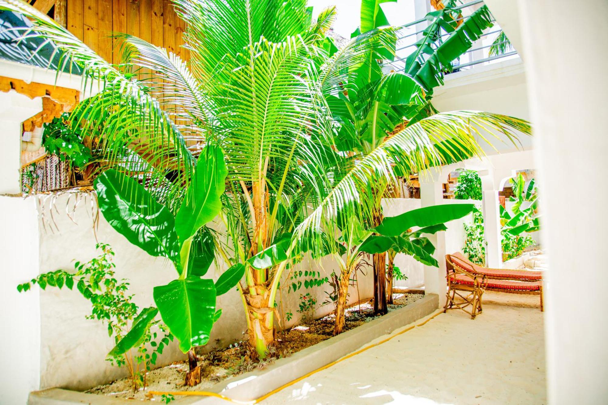 Pamoja Beach Stays Hotel In Jambiani ジャンビアニ エクステリア 写真